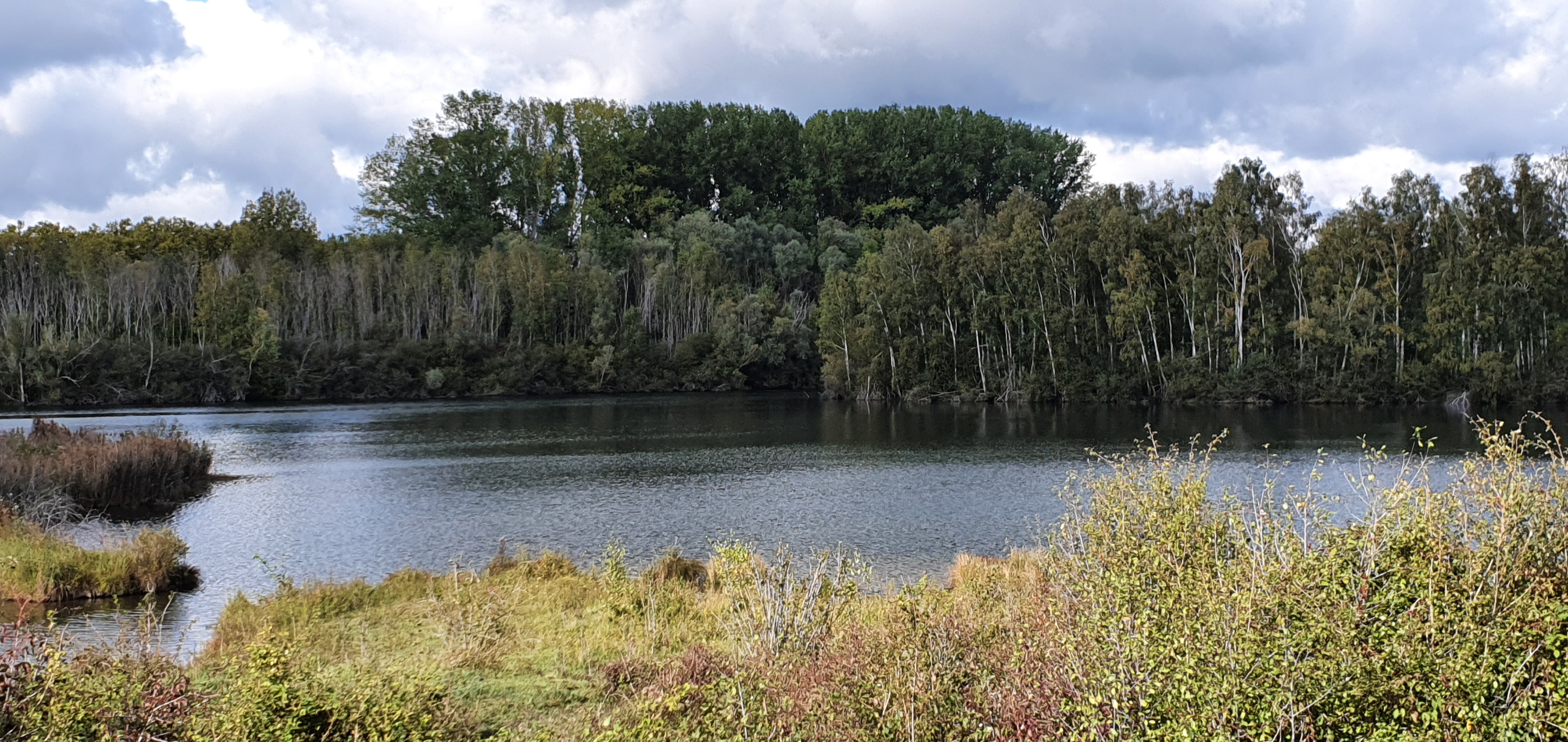 Photo n° 2 de l'avis de Agnes.i fait le 03/11/2020 à 18:02