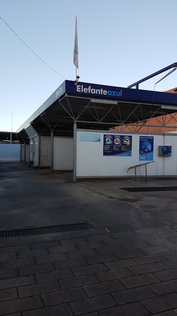 Elefante Azul