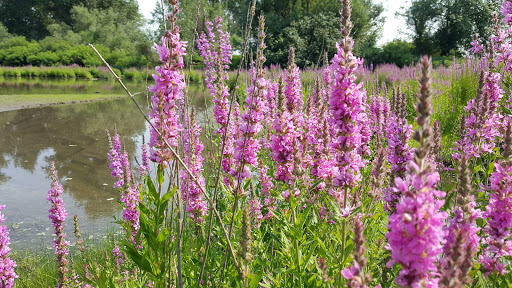 Museum «Vancouver Water Resources Education Center», reviews and photos, 4600 SE Columbia Way, Vancouver, WA 98661, USA