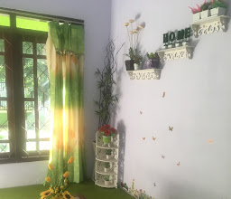 QUINN HOMESTAY photo