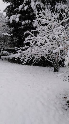 Golf Course «Meadow Lakes Golf Course», reviews and photos, 383 Adams Rd, Cedartown, GA 30125, USA