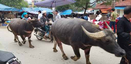 Top 20 các cửa hàng dkbike Huyện Xi Ma Cai Lào Cai 2022