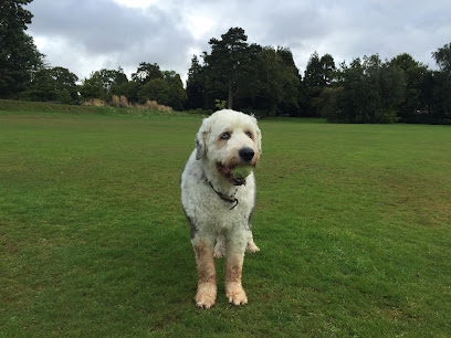 Lead on Pet Services