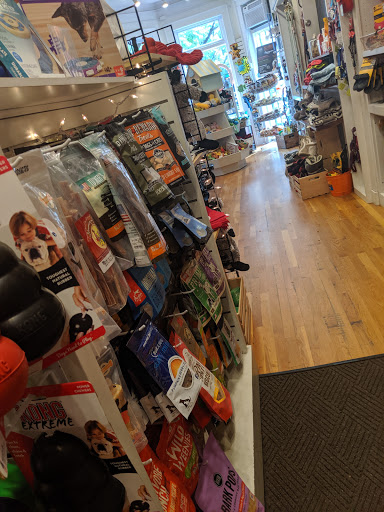 Pet Supply Store «The Fish & Bone, Boston MA», reviews and photos, 217 Newbury St, Boston, MA 02116, USA