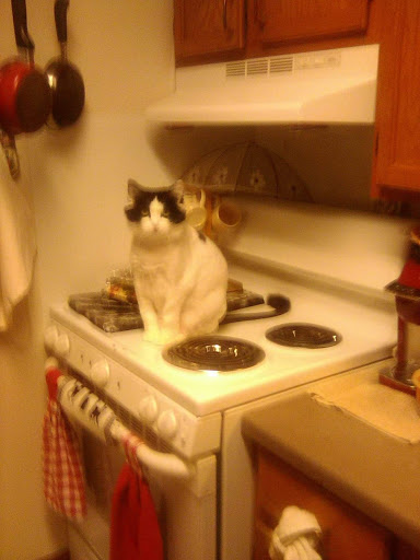 Department Store «Walmart Supercenter», reviews and photos, 1752 N Frontage Rd, Hastings, MN 55033, USA