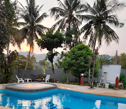 Mild Garden View photo