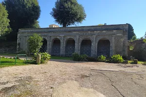 Villa Sforza Cesarini image