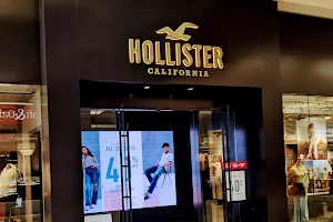 Hollister Co. image