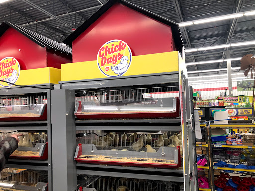 Home Improvement Store «Tractor Supply Co.», reviews and photos, 134 Bridge St, Pelham, NH 03076, USA