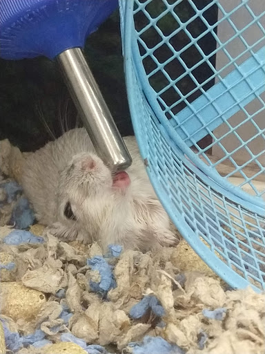 Pet Supply Store «Petco Animal Supplies», reviews and photos, 1624 Governors Square Blvd, Tallahassee, FL 32301, USA