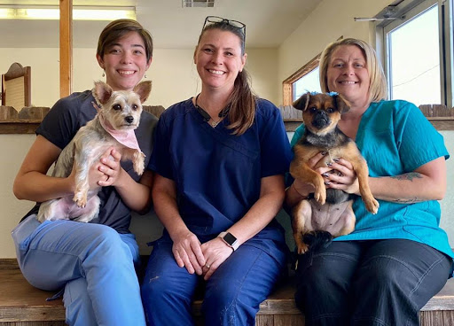 Bloomin' Groomin' Pet Spa and Resort