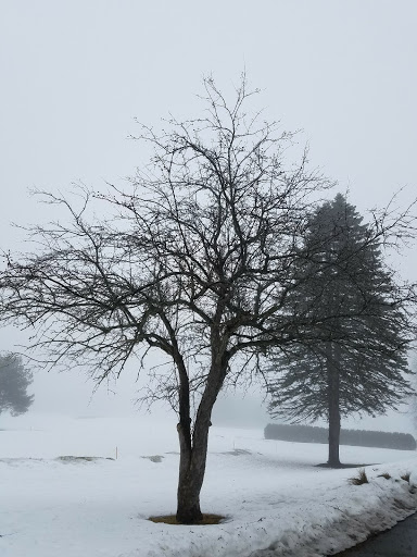 Golf Course «Bangor Municipal Golf Course», reviews and photos, 278 Webster Ave, Bangor, ME 04401, USA