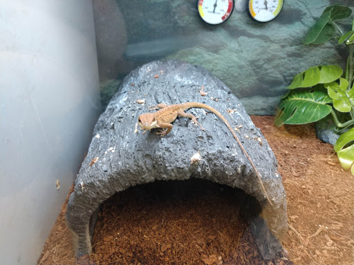 Pet Supply Store «Petco Animal Supplies», reviews and photos, 3430 W State St, Grand Island, NE 68803, USA