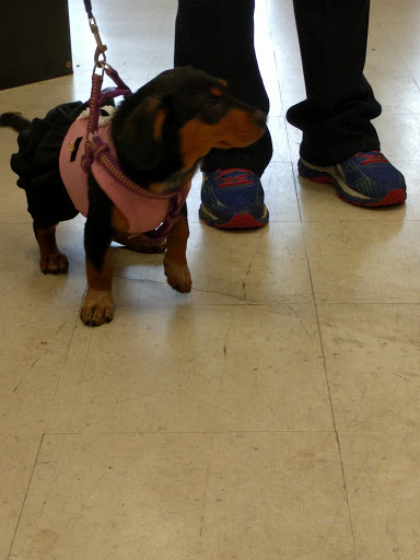 Pet Store «Pet Valu», reviews and photos, 323 Old York Rd, Jenkintown, PA 19046, USA