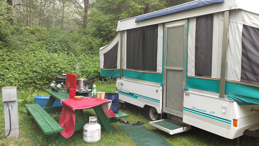 Campground «Hard Rain Cafe», reviews and photos, 5763 Upper Hoh Rd, Forks, WA 98331, USA