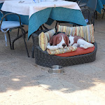 Photo n°1 de l'avis de Jürgen.a fait le 23/05/2022 à 14:23 sur le  Hotel Ristorante Lepanto à Salò