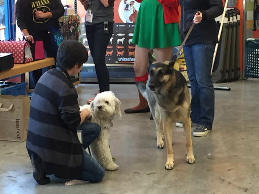 Pet Supply Store «Unleashed by Petco», reviews and photos, 1402 Wilshire Blvd, Santa Monica, CA 90403, USA