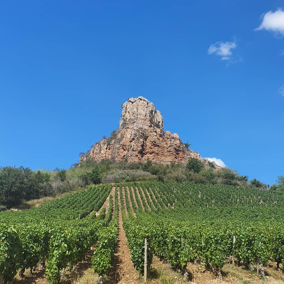 Photo n° 1 de l'avis de Dom.o fait le 12/08/2019 à 14:44