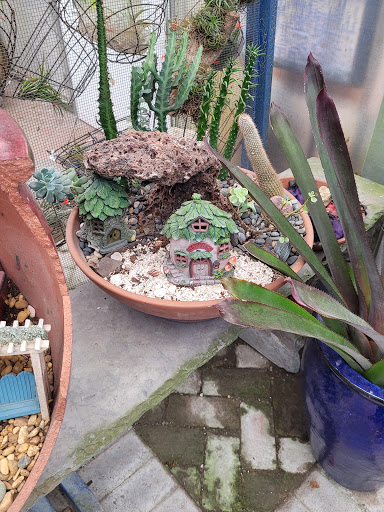 Wholesale Plant Nursery «Galloway Farm Nursery Inc.», reviews and photos, 7790 SW 87th Ave, Miami, FL 33173, USA