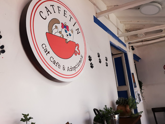 Catfetin Cat Cafe - Cafetería
