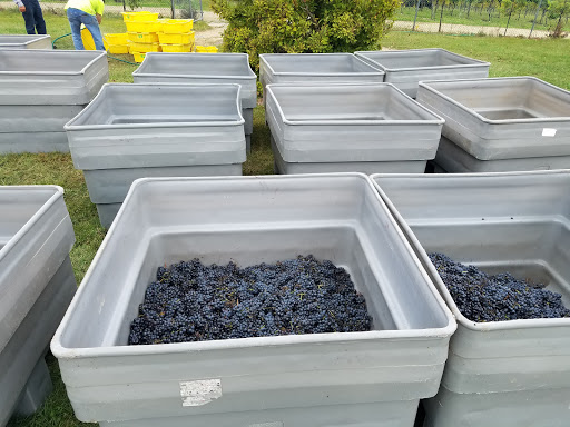 Winery «Demarest Hill Winery», reviews and photos, 81 Pine Island Turnpike, Warwick, NY 10990, USA