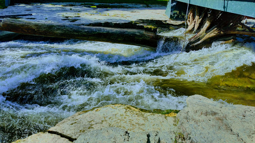 Park «Falls Park», reviews and photos, 460 Falls Park Dr, Pendleton, IN 46064, USA