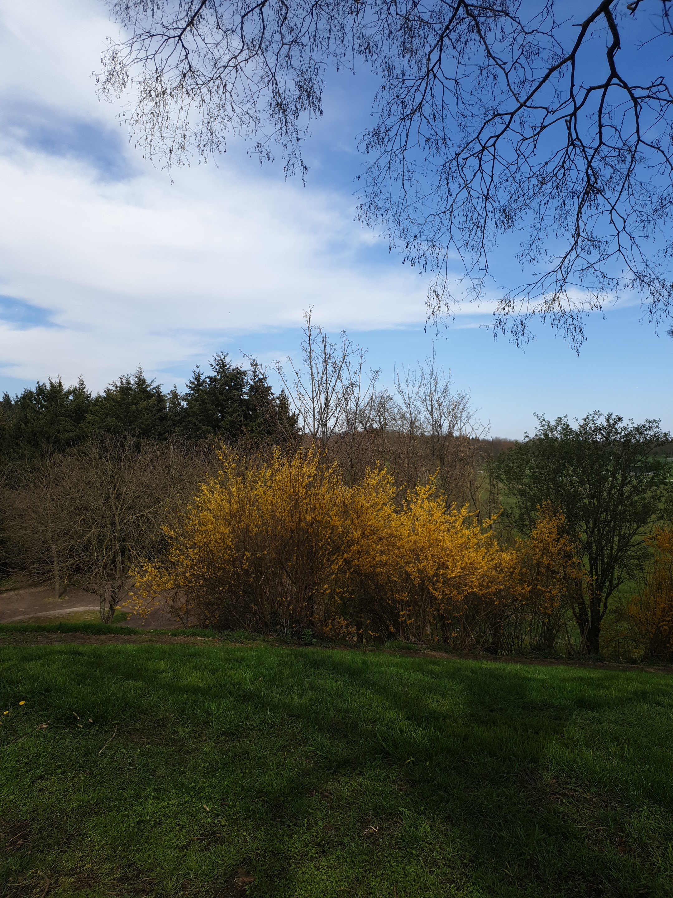 Photo n° 2 de l'avis de Malika.. fait le 30/03/2019 à 12:57