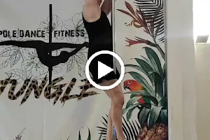 Pole Dance Fitness Jungle image