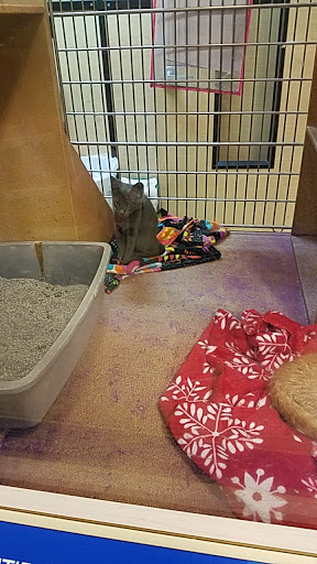 Pet Supply Store «PetSmart», reviews and photos, 849 E 23rd St, Panama City, FL 32405, USA