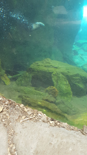 Zoo «The Maryland Zoo in Baltimore», reviews and photos, 1 Safari Place, Baltimore, MD 21217, USA