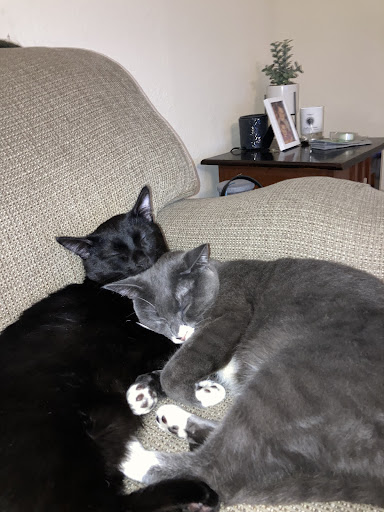 3150 Red Wing Blvd, Hastings, MN 55033, USA