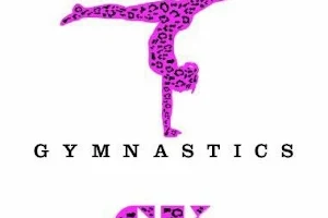 Cheetah Kidz Gymnastics image
