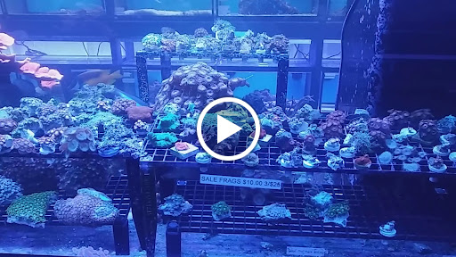 Pet Store «Forest Lake Pets», reviews and photos, 120 Lake St N, Forest Lake, MN 55025, USA