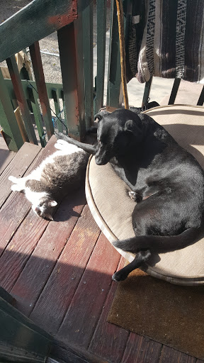 Pet Supply Store «Pet Food Express», reviews and photos, 990 El Camino Real, Belmont, CA 94002, USA