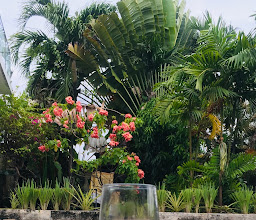 Villa Clara Bali photo