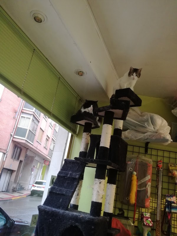 Clínica Veterinaria La Robla