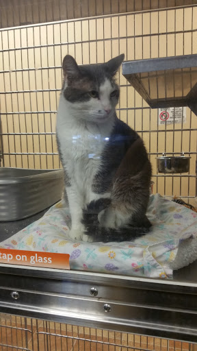 Pet Supply Store «PetSmart», reviews and photos, 573 N McKinley St, Corona, CA 92879, USA