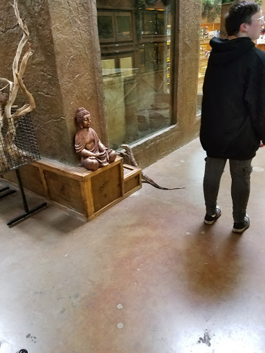 Pet Store «Lost Realms Pets», reviews and photos, 8059 N Cedar Ave, Fresno, CA 93720, USA