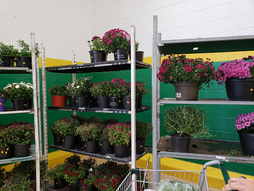 Produce Market «Produce Junction Inc», reviews and photos, 272 Pottstown Pike, Exton, PA 19341, USA