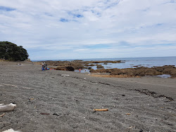 Foto af Te Kaka Beach med høj niveau af renlighed