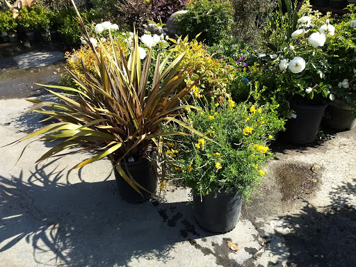 Hardware Store «Payless Hardware, Rockery and Nursery», reviews and photos, 2927 King Rd, San Jose, CA 95122, USA