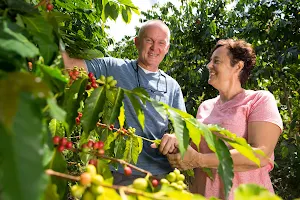 Hala Tree Coffee image