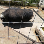 Photo n°3 de l'avis de Lara.o fait le 09/06/2019 à 10:42 sur le  Tenuta Giarretta Catania à Belpasso