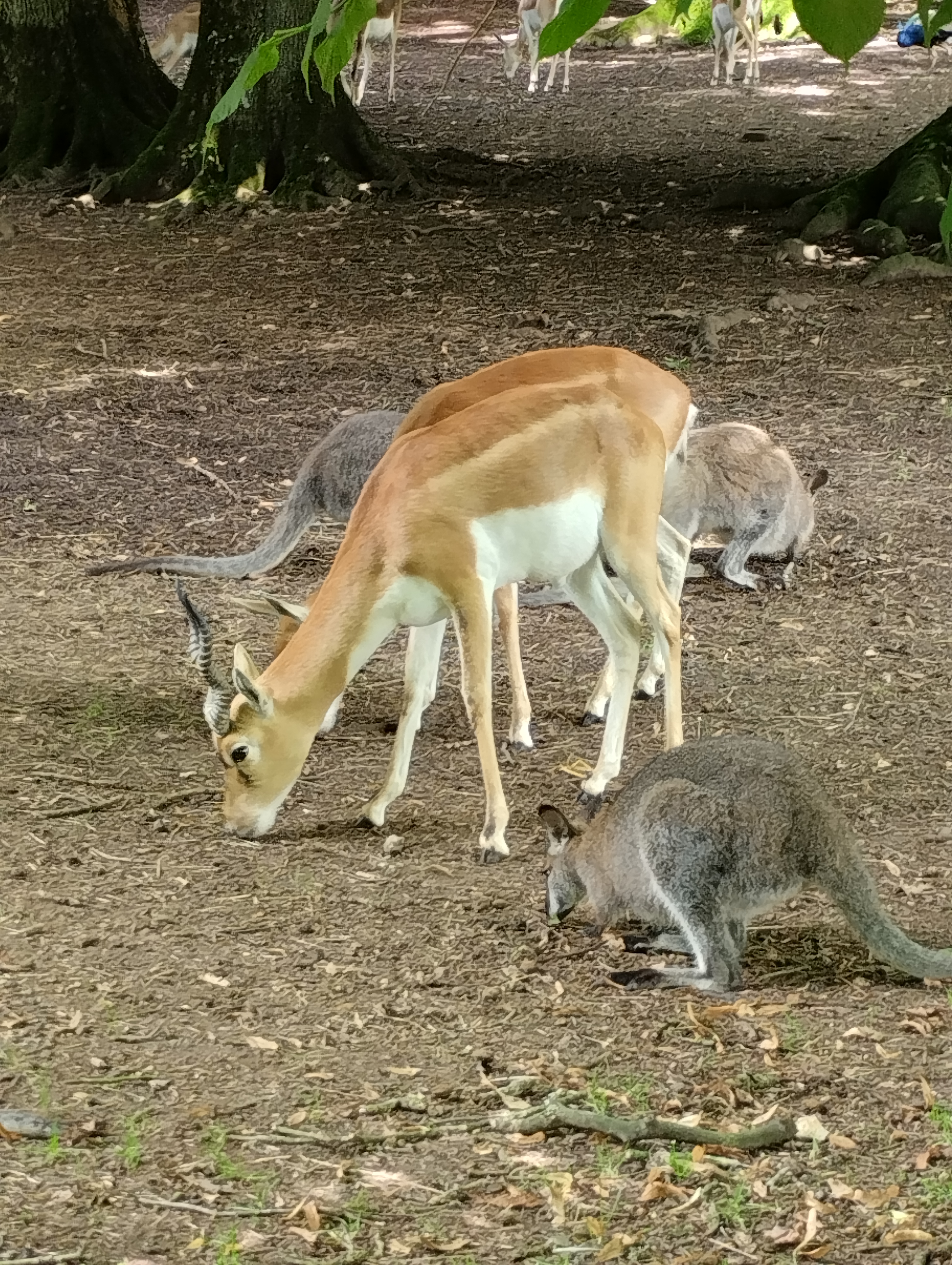 Photo n° 6 de l'avis de Christel.a fait le 04/08/2023 à 19:14