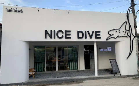 Nice Dive image