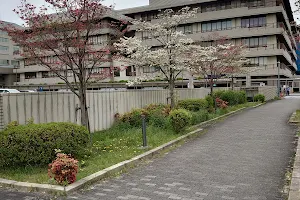 Kyoto University Hospital image