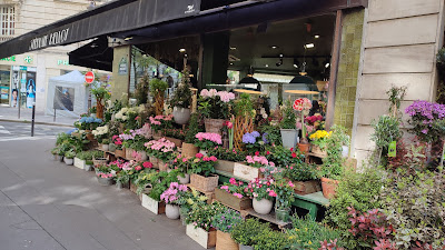 Artisan Fleuriste - Stéphane Bellot à Paris