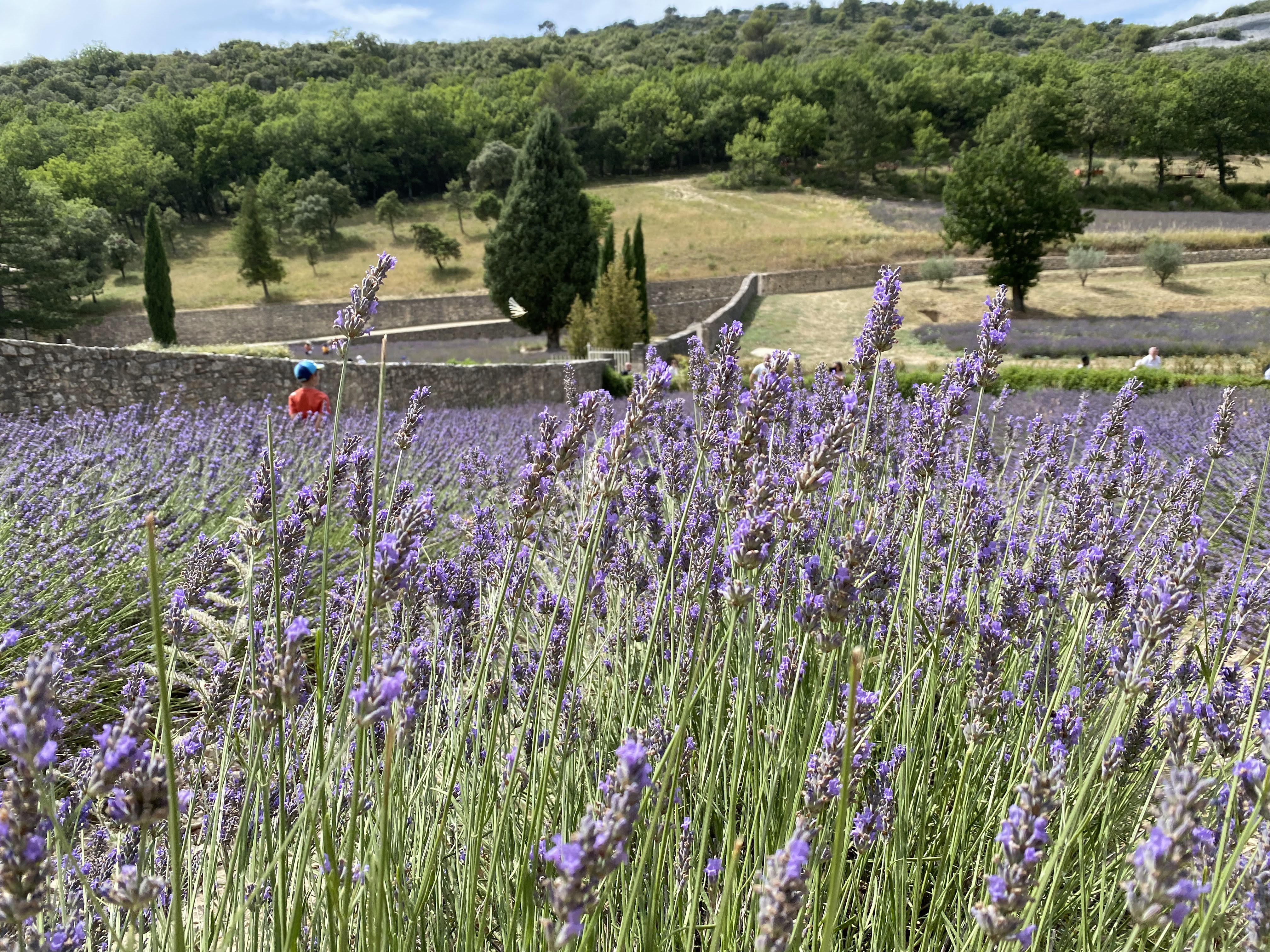 Photo n° 1 de l'avis de Jérémy.e fait le 25/07/2021 à 21:49