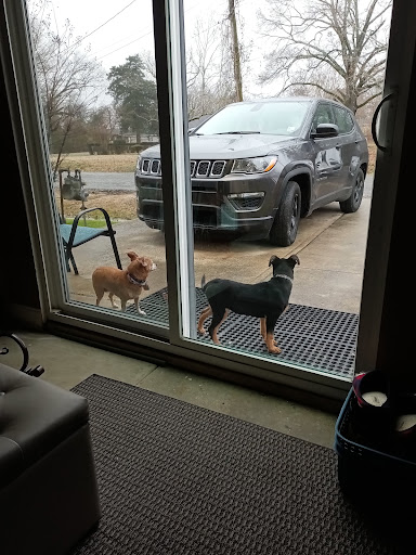 David Jennifer F DVM image