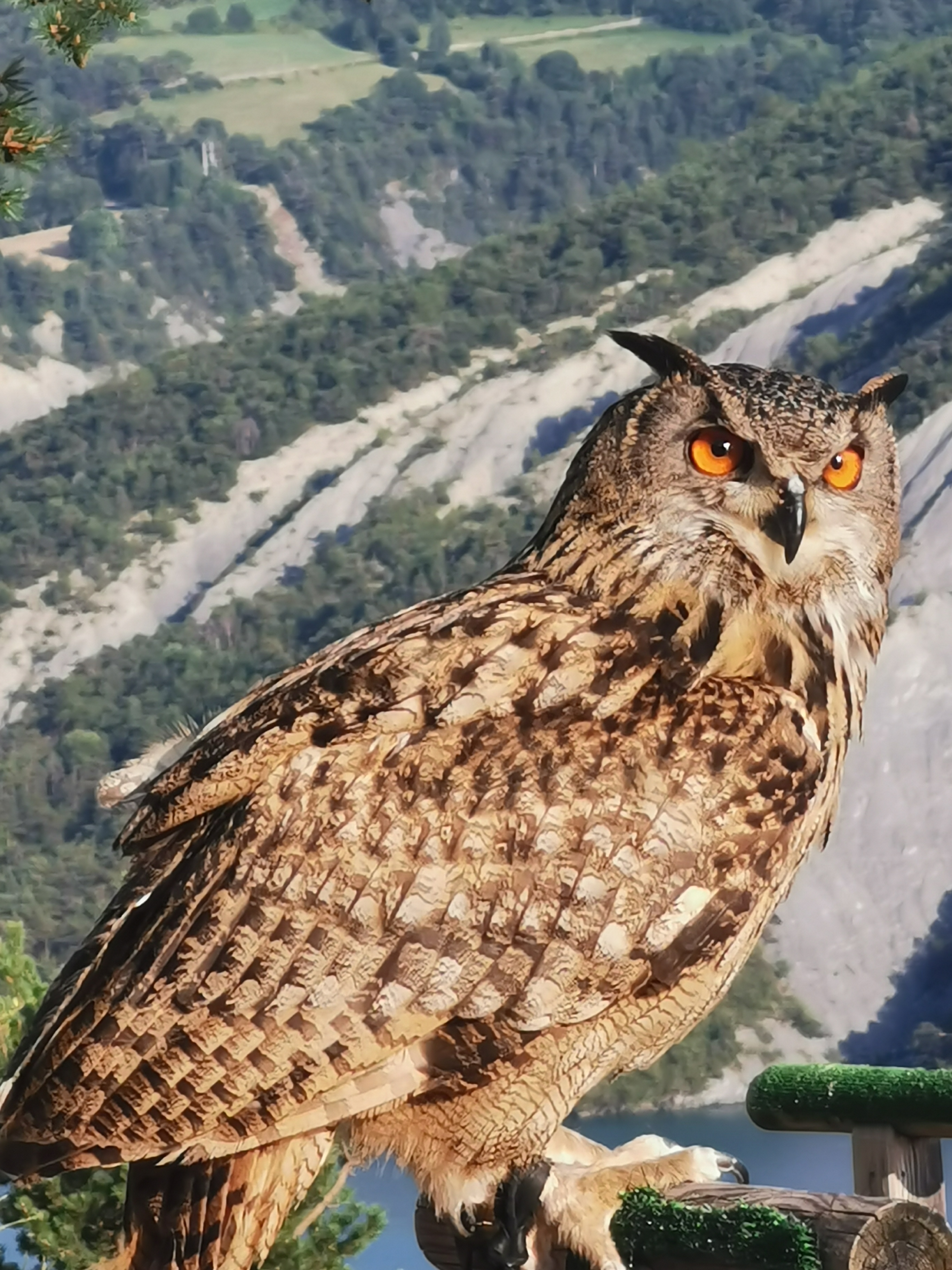 Photo n° 3 de l'avis de Mustapha.A fait le 30/07/2021 à 08:53